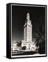 Freedom Tower, Miami-null-Framed Stretched Canvas