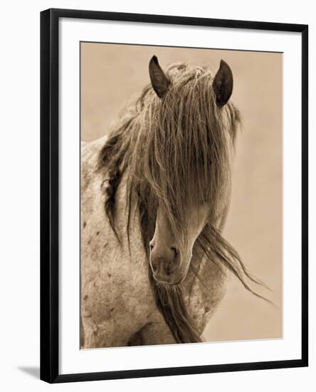 Freedom-Lisa Dearing-Framed Art Print