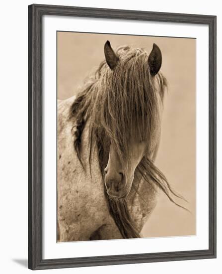 Freedom-Lisa Dearing-Framed Art Print