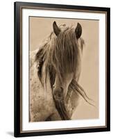 Freedom-Lisa Dearing-Framed Art Print