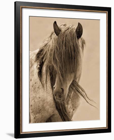 Freedom-Lisa Dearing-Framed Art Print