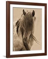 Freedom-Lisa Dearing-Framed Art Print