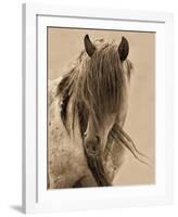 Freedom-Lisa Dearing-Framed Art Print