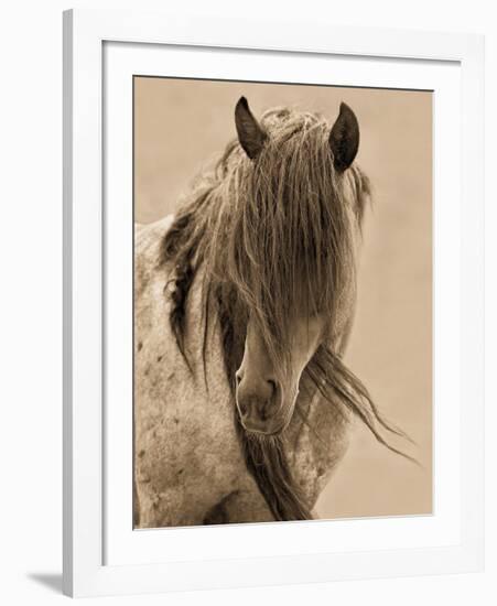 Freedom-Lisa Dearing-Framed Art Print