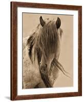 Freedom-Lisa Dearing-Framed Art Print