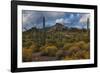 Freedom-Michael Greene-Framed Giclee Print