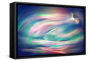 Freedom-Ursula Abresch-Framed Stretched Canvas