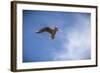 Freedom-Giuseppe Torre-Framed Photographic Print