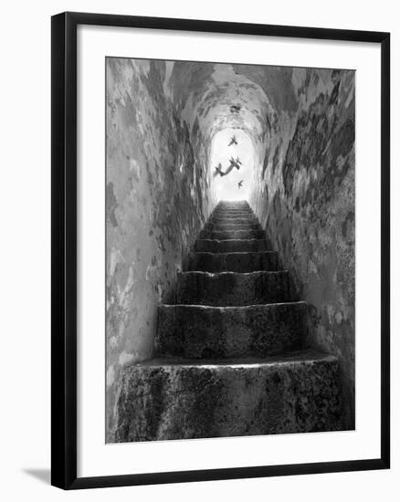 Freedom-Moises Levy-Framed Photographic Print
