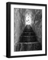 Freedom-Moises Levy-Framed Photographic Print