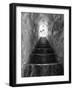 Freedom-Moises Levy-Framed Photographic Print