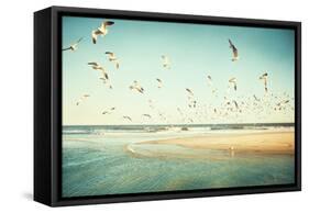 Freedom-Carolyn Cochrane-Framed Stretched Canvas