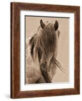 Freedom-Lisa Dearing-Framed Photographic Print