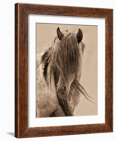 Freedom-Lisa Dearing-Framed Photographic Print