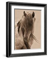 Freedom-Lisa Dearing-Framed Photographic Print