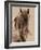 Freedom-Lisa Dearing-Framed Photographic Print