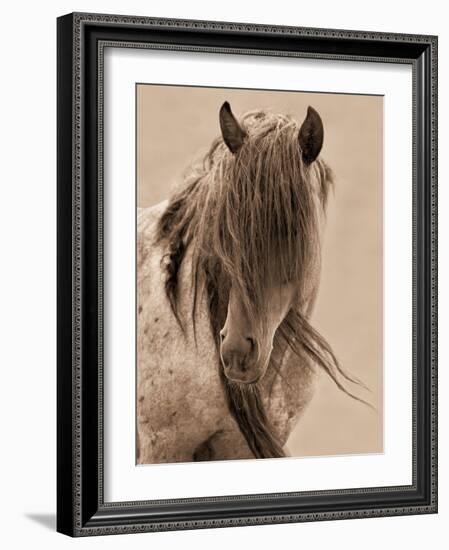 Freedom-Lisa Dearing-Framed Photographic Print