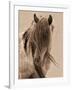 Freedom-Lisa Dearing-Framed Premium Photographic Print