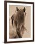 Freedom-Lisa Dearing-Framed Premium Photographic Print