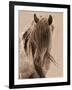 Freedom-Lisa Dearing-Framed Premium Photographic Print