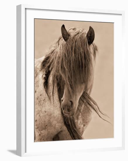 Freedom-Lisa Dearing-Framed Photographic Print