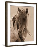 Freedom-Lisa Dearing-Framed Photographic Print