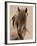 Freedom-Lisa Dearing-Framed Photographic Print