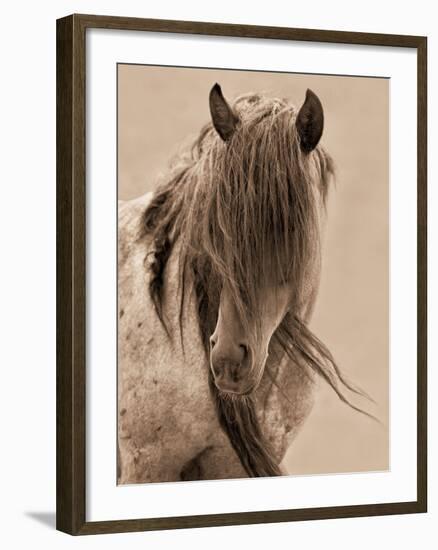 Freedom-Lisa Dearing-Framed Photographic Print