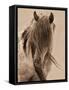 Freedom-Lisa Dearing-Framed Stretched Canvas