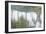 Freedom-Bruce Dumas-Framed Giclee Print