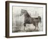 Freedom-Ken Roko-Framed Art Print