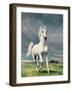 Freedom-Yvonne Delvo-Framed Giclee Print