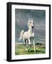 Freedom-Yvonne Delvo-Framed Giclee Print