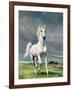 Freedom-Yvonne Delvo-Framed Giclee Print