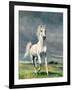 Freedom-Yvonne Delvo-Framed Giclee Print