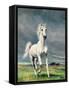 Freedom-Yvonne Delvo-Framed Stretched Canvas