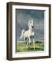 Freedom-Yvonne Delvo-Framed Giclee Print