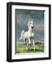 Freedom-Yvonne Delvo-Framed Giclee Print