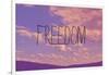 Freedom-Vintage Skies-Framed Giclee Print