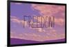 Freedom-Vintage Skies-Framed Giclee Print