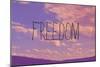 Freedom-Vintage Skies-Mounted Giclee Print