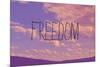 Freedom-Vintage Skies-Mounted Giclee Print