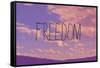 Freedom-Vintage Skies-Framed Stretched Canvas