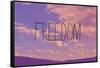 Freedom-Vintage Skies-Framed Stretched Canvas