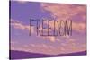 Freedom-Vintage Skies-Stretched Canvas