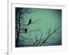 Freedom-Christy Ann-Framed Giclee Print