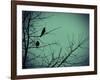 Freedom-Christy Ann-Framed Giclee Print