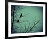 Freedom-Christy Ann-Framed Giclee Print