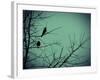 Freedom-Christy Ann-Framed Giclee Print