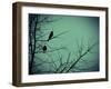 Freedom-Christy Ann-Framed Giclee Print